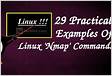 29 Practical Examples of Nmap Commands for Linux